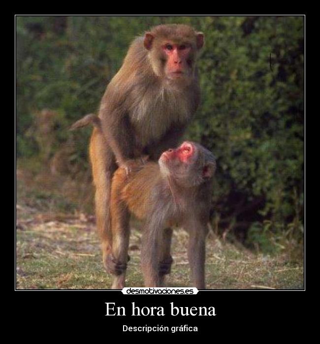 En hora buena - Descripción gráfica