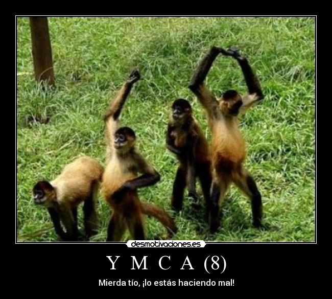 carteles ymca monos bailando zorra implakable desmotivaciones