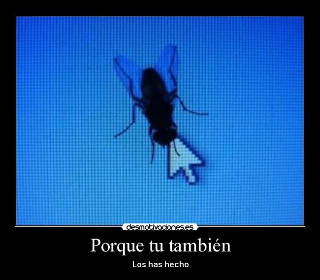Porque tu también - Los has hecho