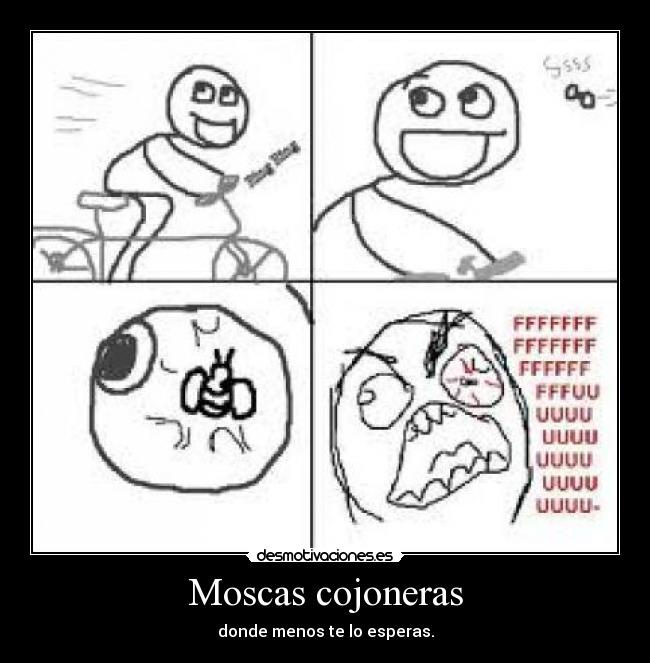 Moscas cojoneras - 
