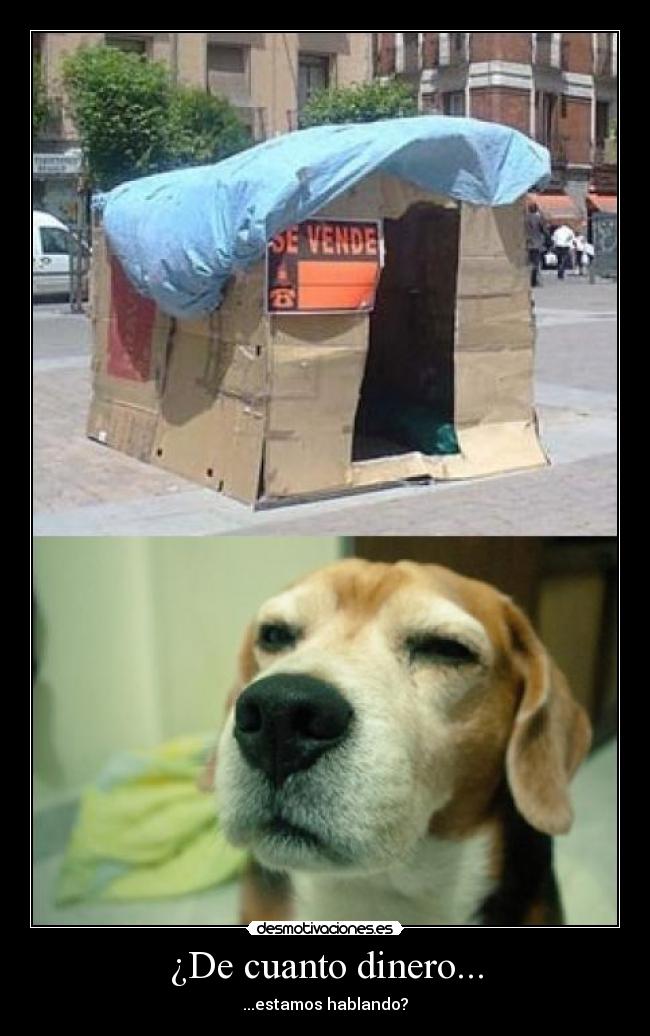 ¿De cuanto dinero... -