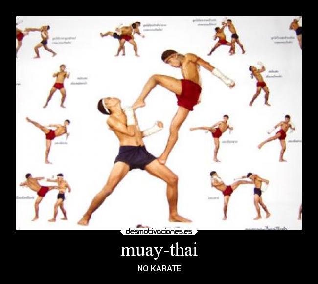 muay-thai - NO KARATE