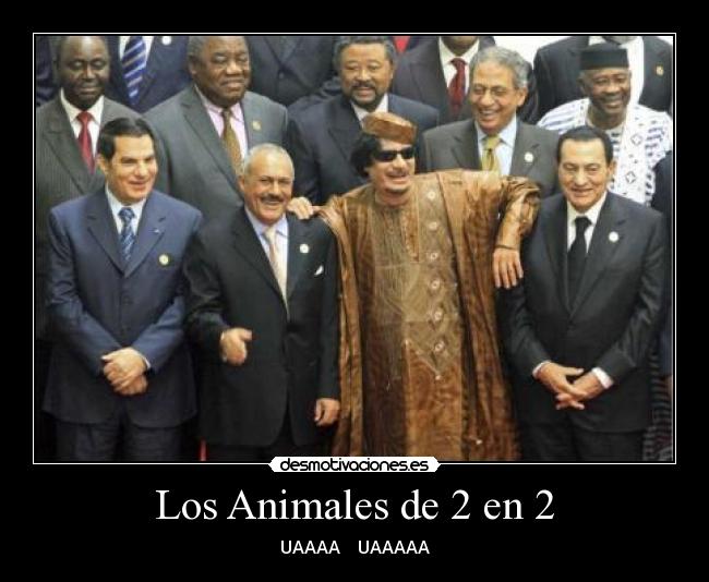 Los Animales de 2 en 2 - UAAAA    UAAAAA