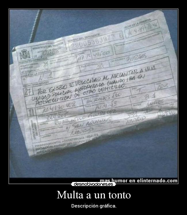 Multa a un tonto -