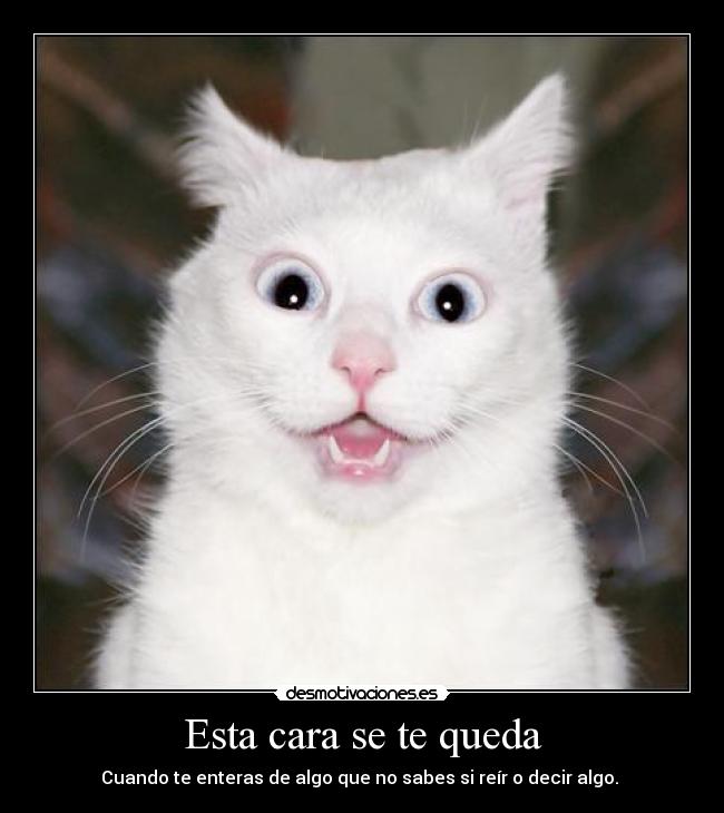 Esta cara se te queda -
