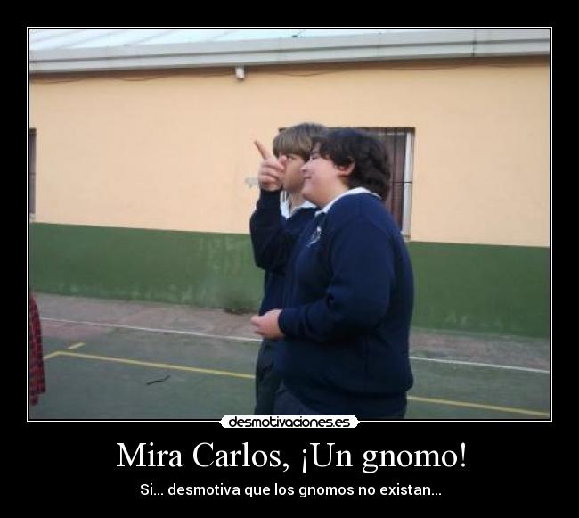 Mira Carlos, ¡Un gnomo! -