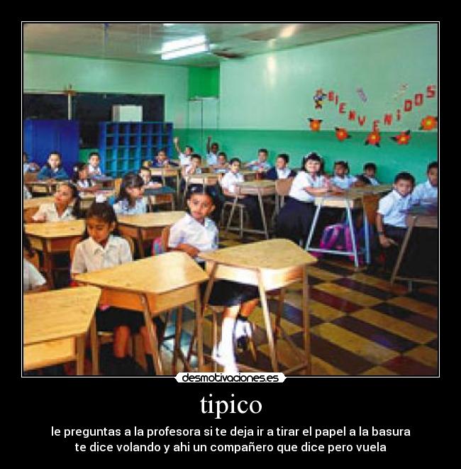 tipico - 