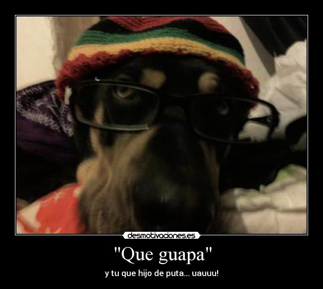 Que guapa - y tu que hijo de puta... uauuu!