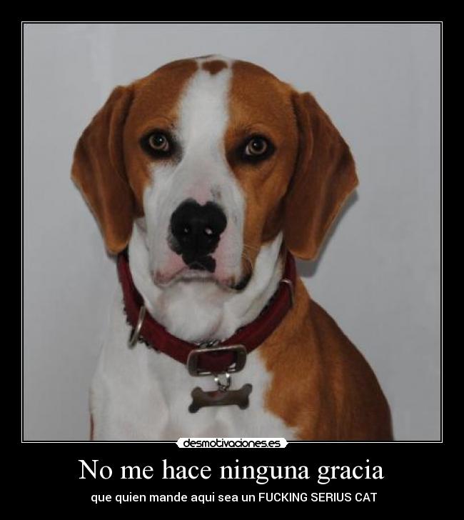 No me hace ninguna gracia -