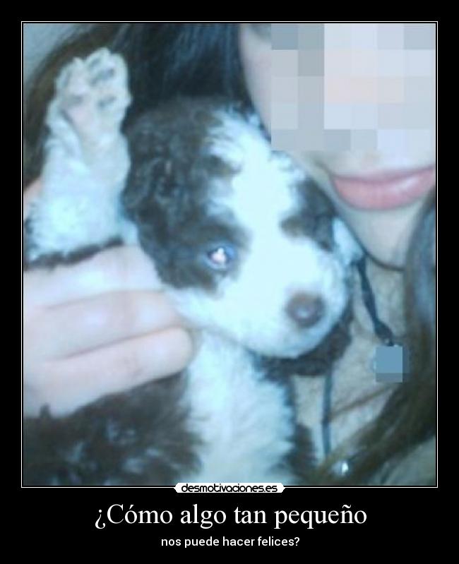 ¿Cómo algo tan pequeño - nos puede hacer felices?