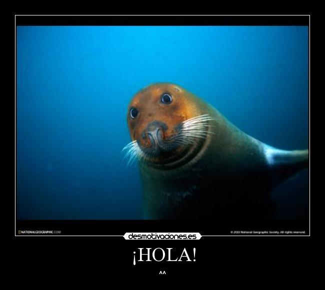¡HOLA! - 