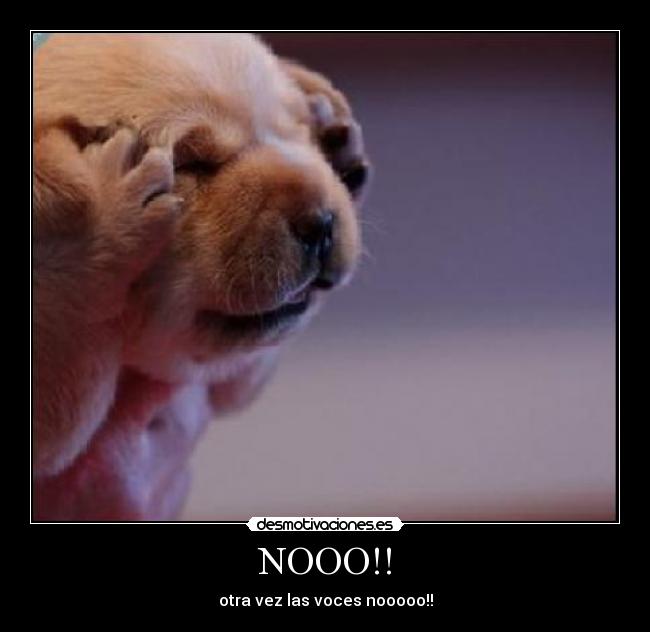NOOO!! -