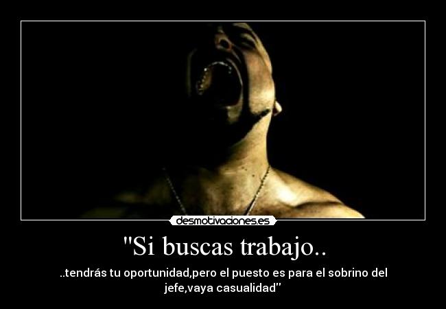 Si buscas trabajo.. - 