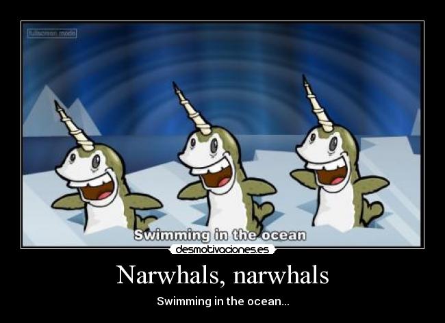 Narwhals, narwhals - Swimming in the ocean...