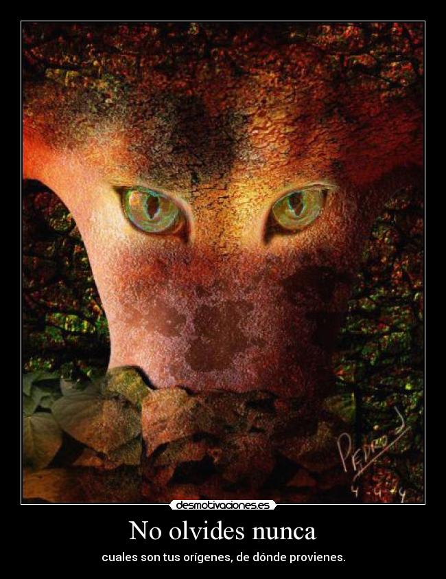 No olvides nunca -