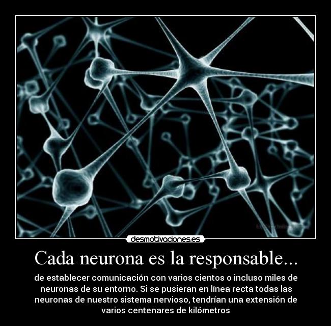 carteles antoniogachero desmotivaciones