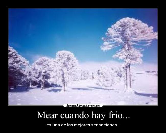 carteles mear frio desmotivaciones