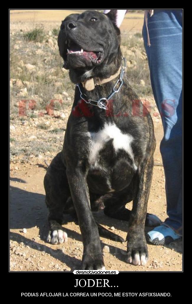 carteles joder desmotivaciones