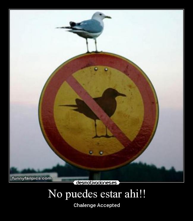 No puedes estar ahi!! -