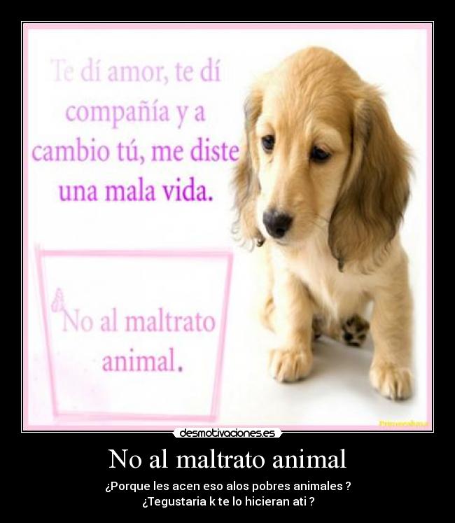 No al maltrato animal - ¿Porque les acen eso alos pobres animales ?
¿Tegustaria k te lo hicieran ati ?