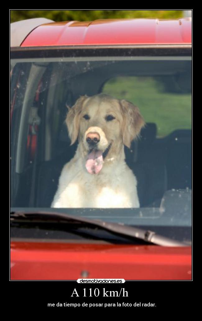 A 110 km/h - me da tiempo de posar para la foto del radar.