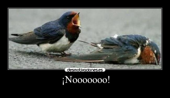 ¡Nooooooo! - 