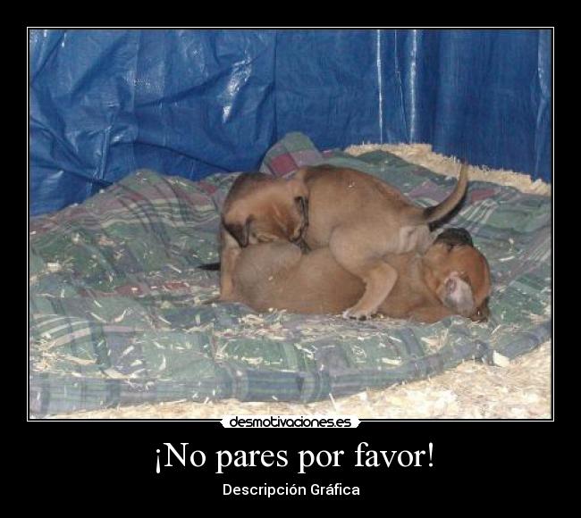 ¡No pares por favor! - Descripción Gráfica