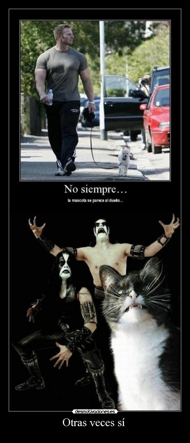 carteles gato desmotivaciones