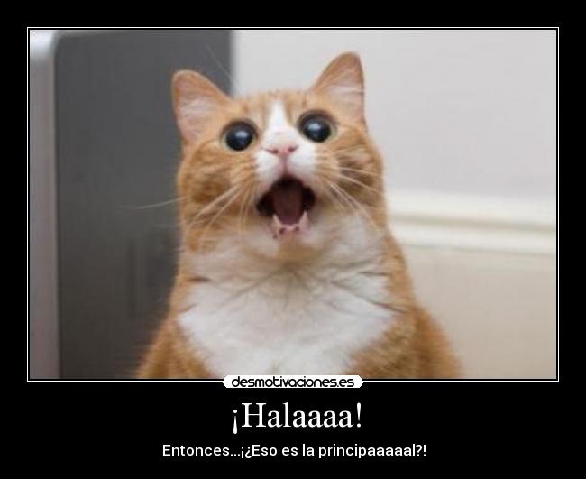 ¡Halaaaa! -