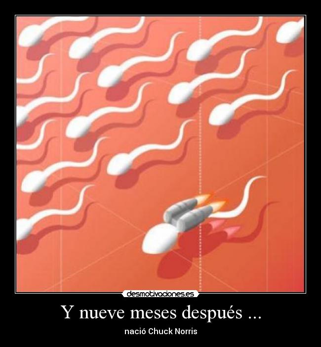 Y nueve meses después ... -