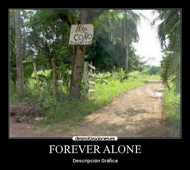 FOREVER ALONE - 