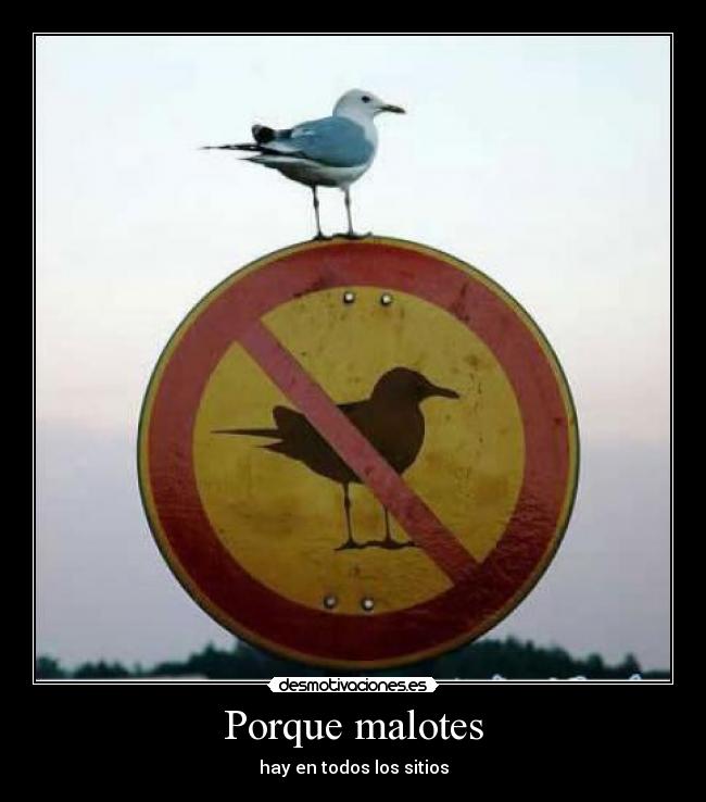 Porque malotes - 