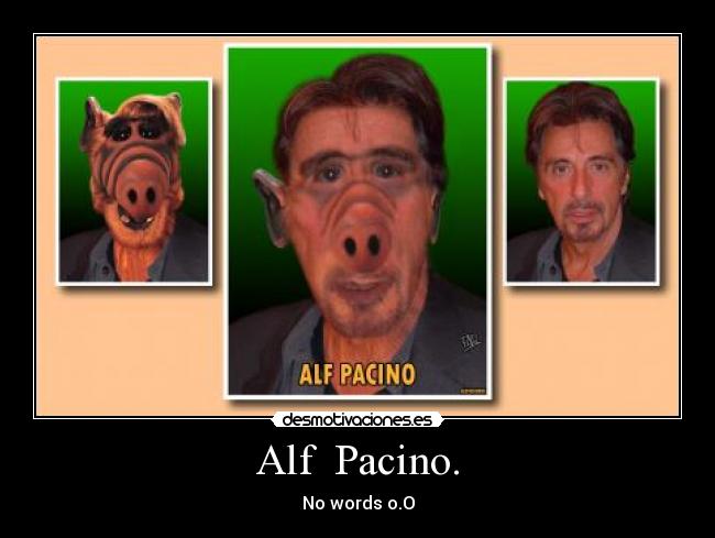 carteles hakunapatata desmotivaciones