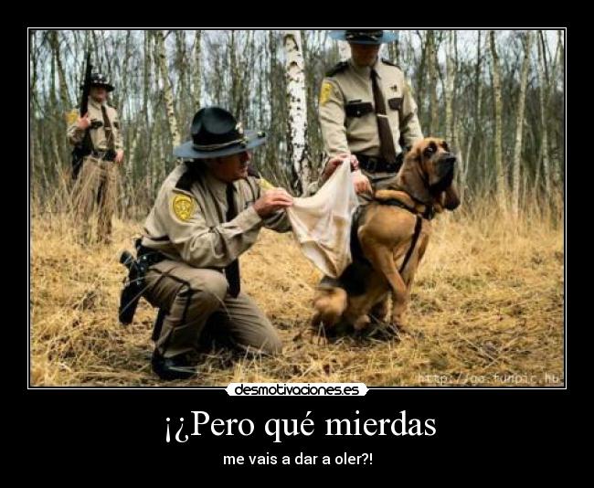 ¡¿Pero qué mierdas -