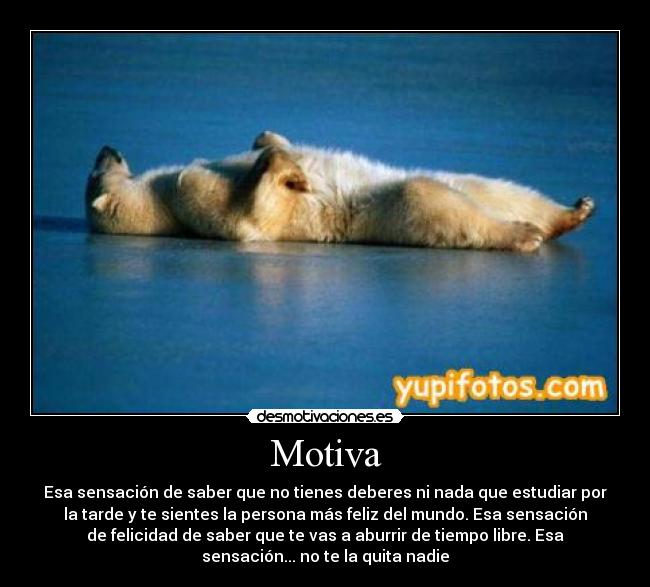 Motiva - Esa sensación de saber que no tienes deberes ni nada que estudiar por
la tarde y te sientes la persona más feliz del mundo. Esa sensación
de felicidad de saber que te vas a aburrir de tiempo libre. Esa
sensación... no te la quita nadie
