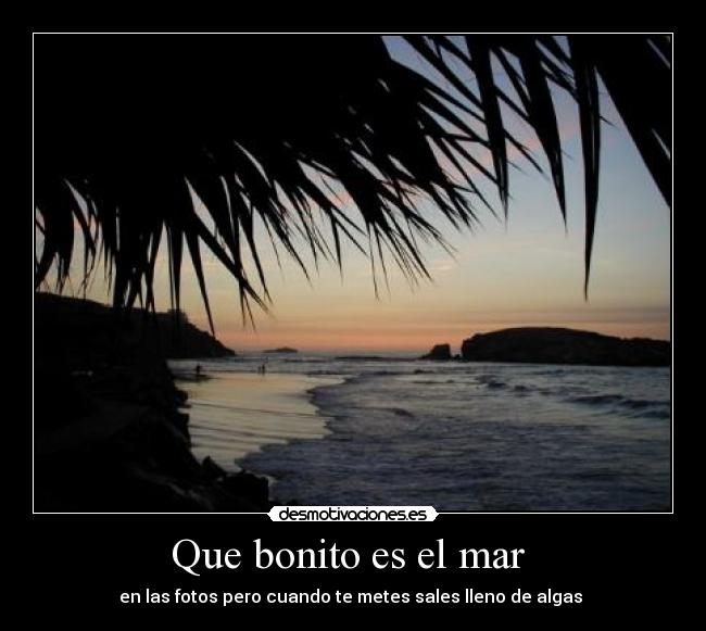 Que bonito es el mar  - 