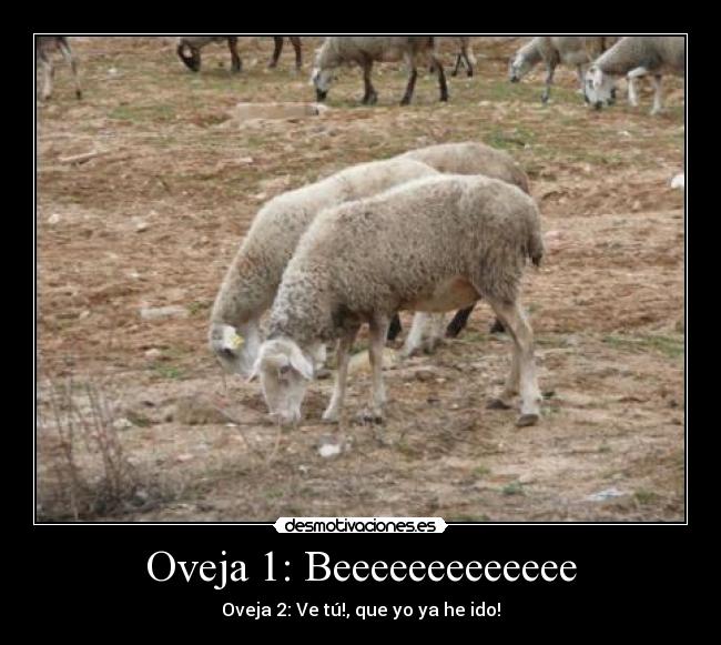 Oveja 1: Beeeeeeeeeeeee - Oveja 2: Ve tú!, que yo ya he ido!