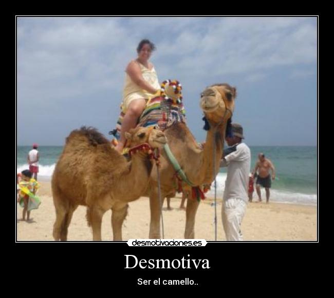 Desmotiva - Ser el camello..