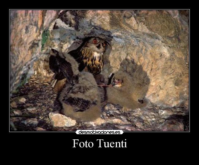 Foto Tuenti - 