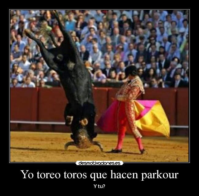 Yo toreo toros que hacen parkour - Y tu?