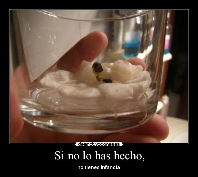 Si no lo has hecho, - no tienes infancia