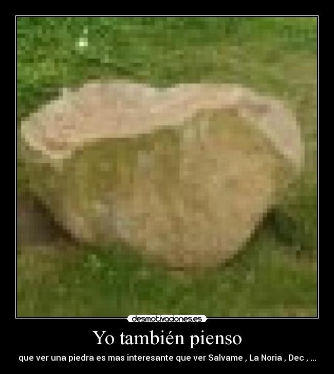 Yo también pienso - que ver una piedra es mas interesante que ver Salvame , La Noria , Dec , ...