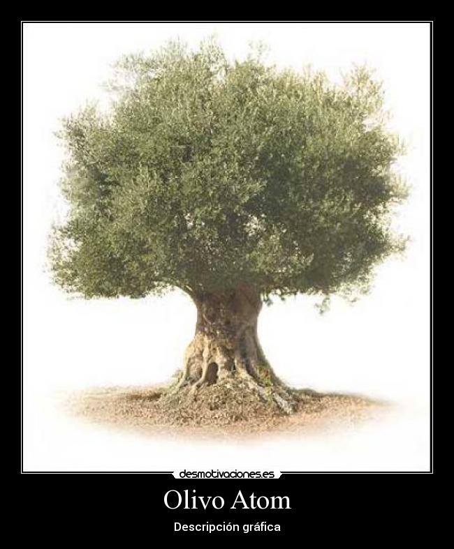 Olivo Atom - Descripción gráfica