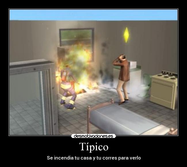 Típico - 