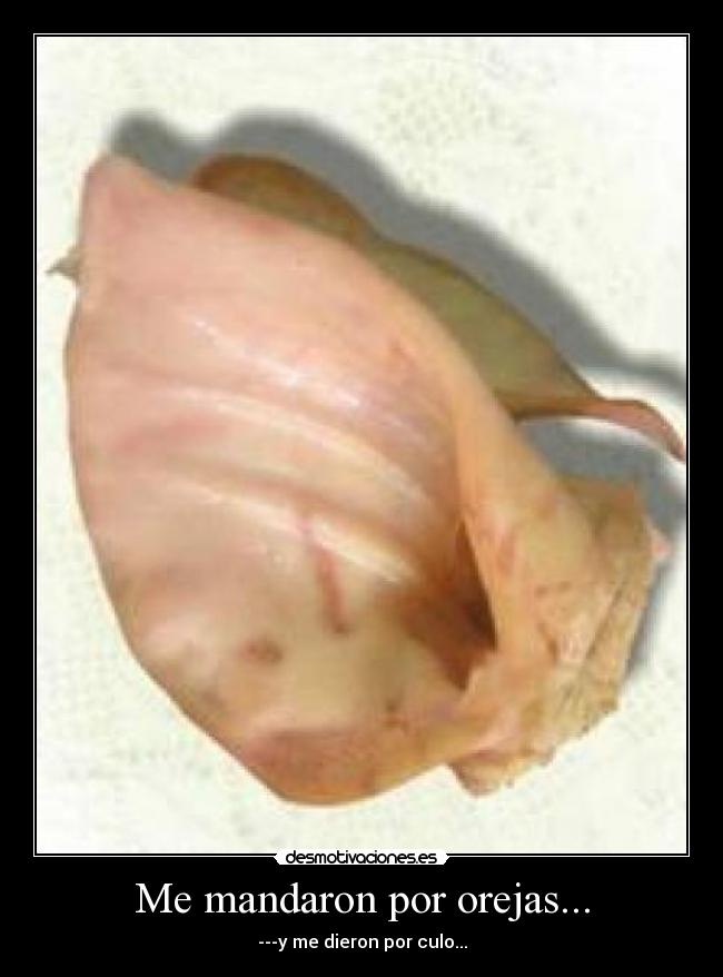 Me mandaron por orejas... -