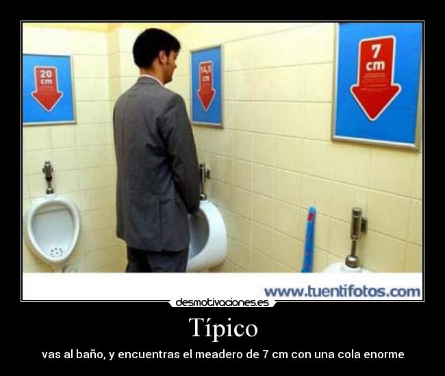 Típico - vas al baño, y encuentras el meadero de 7 cm con una cola enorme