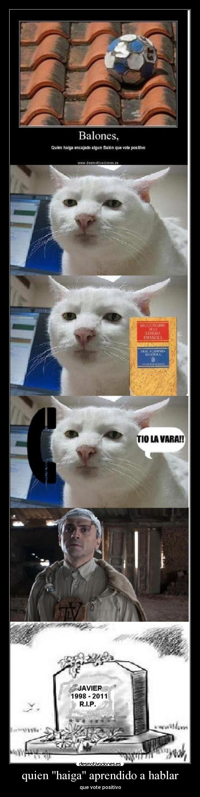 carteles quien haiga aprendido hablar desmotivaciones