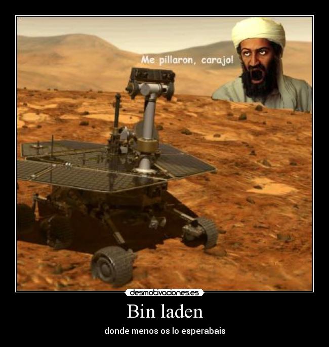 Bin laden -