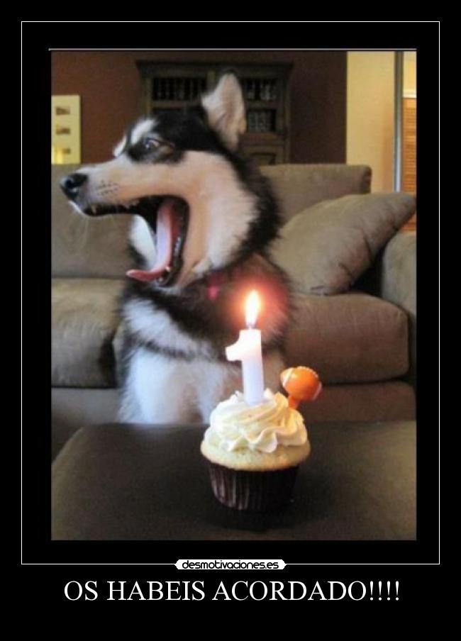 OS HABEIS ACORDADO!!!! -