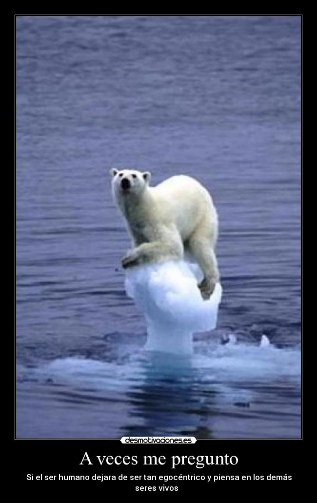 A veces me pregunto - 